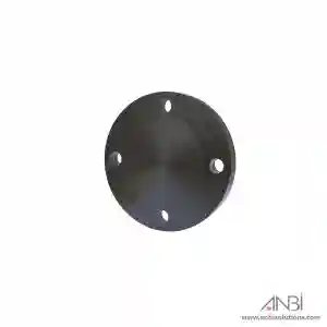 MS Flange Blind PN16