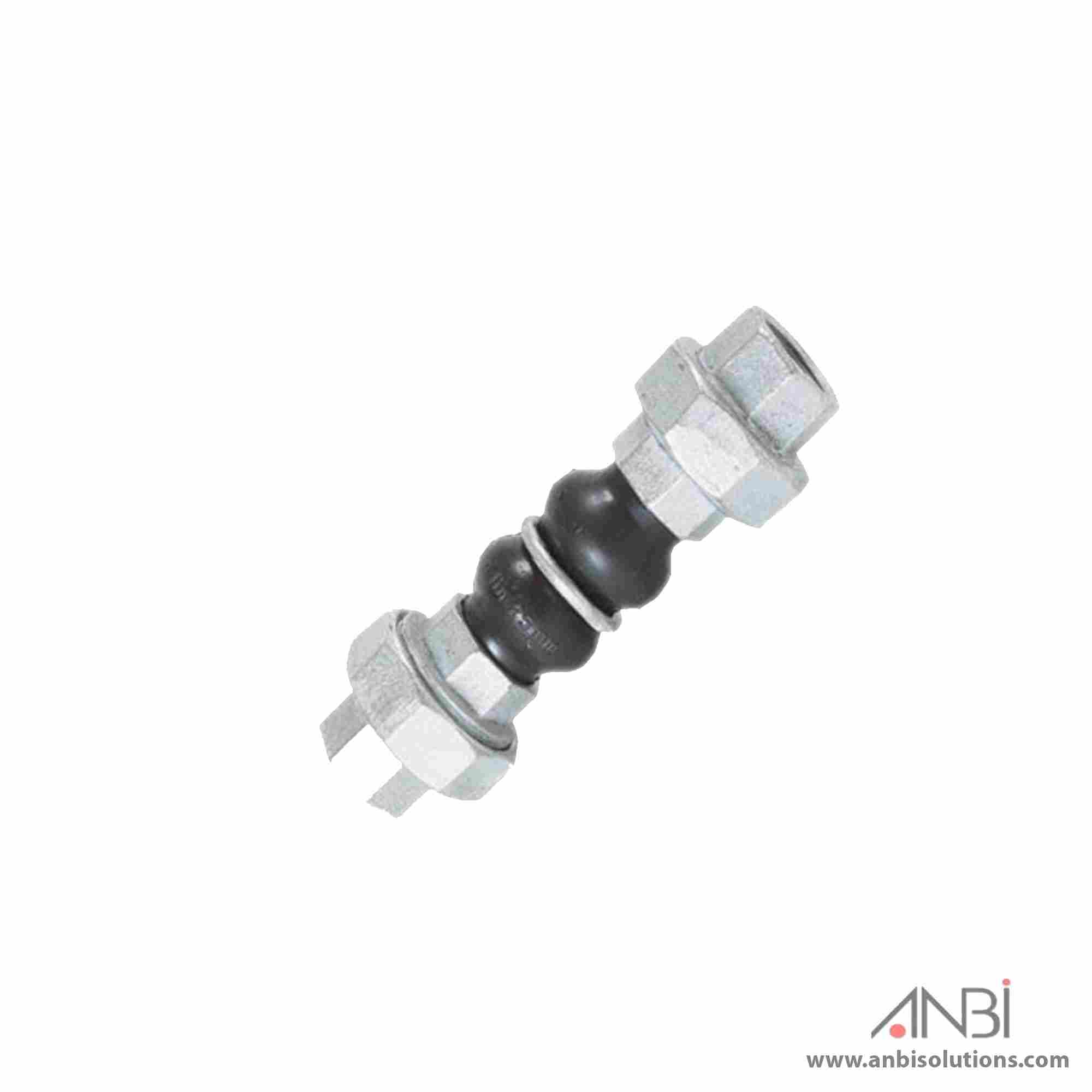 RBM FLEX Expansion Joint Twin Sphere Threaded PN16