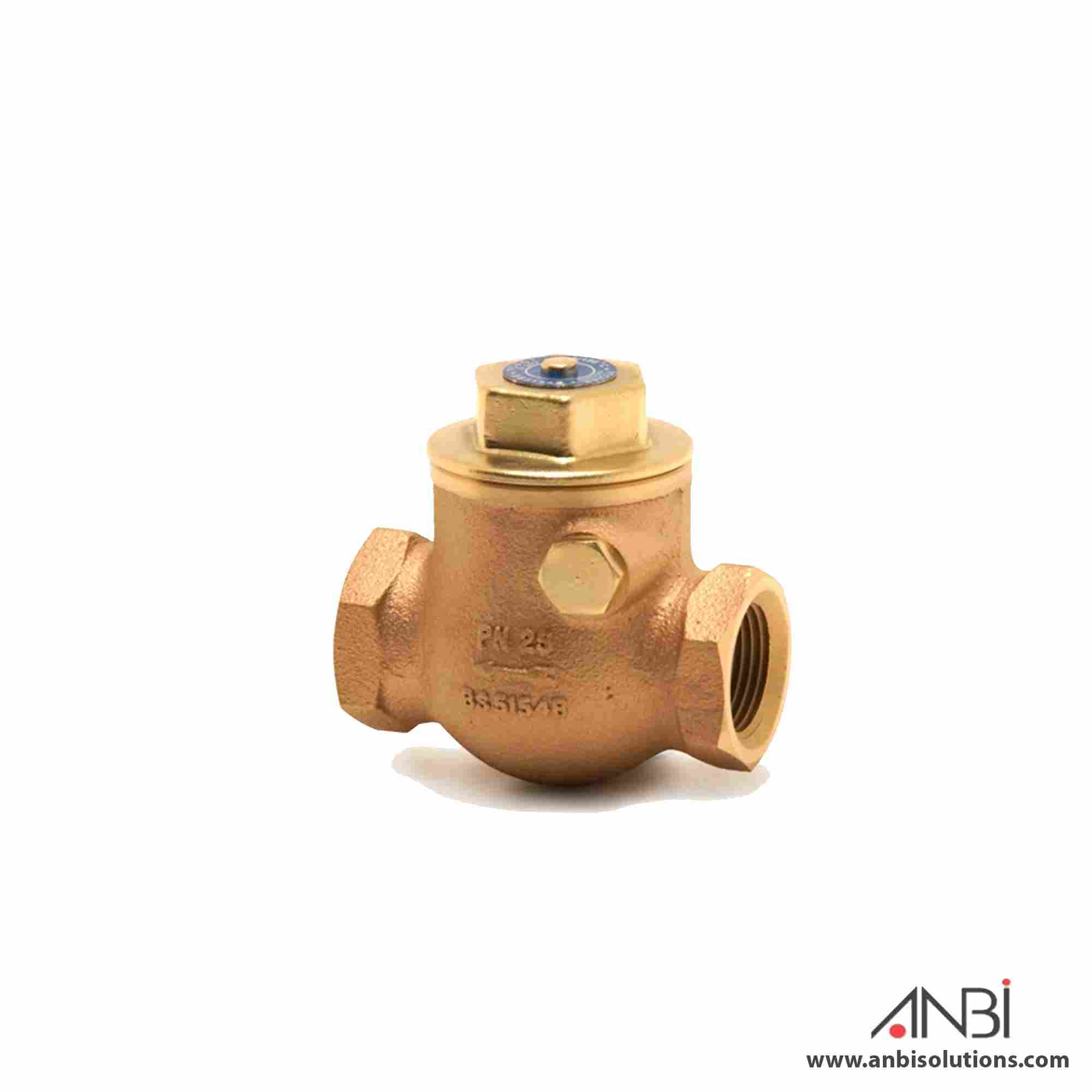 PEGLER Swing Check Valve Bronze 1060APT