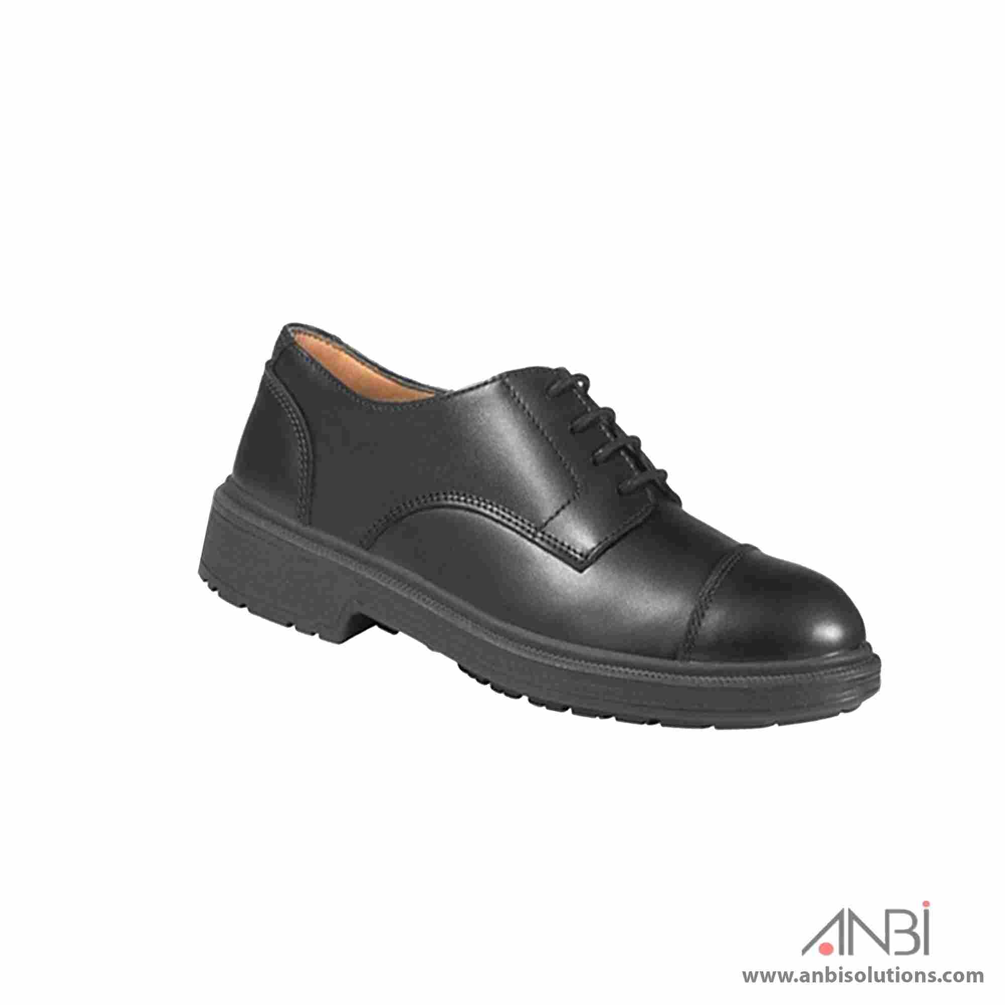 DELTA PLUS Bristol S3 SRC